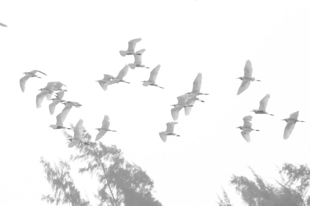 Photograph by Arnab Jana