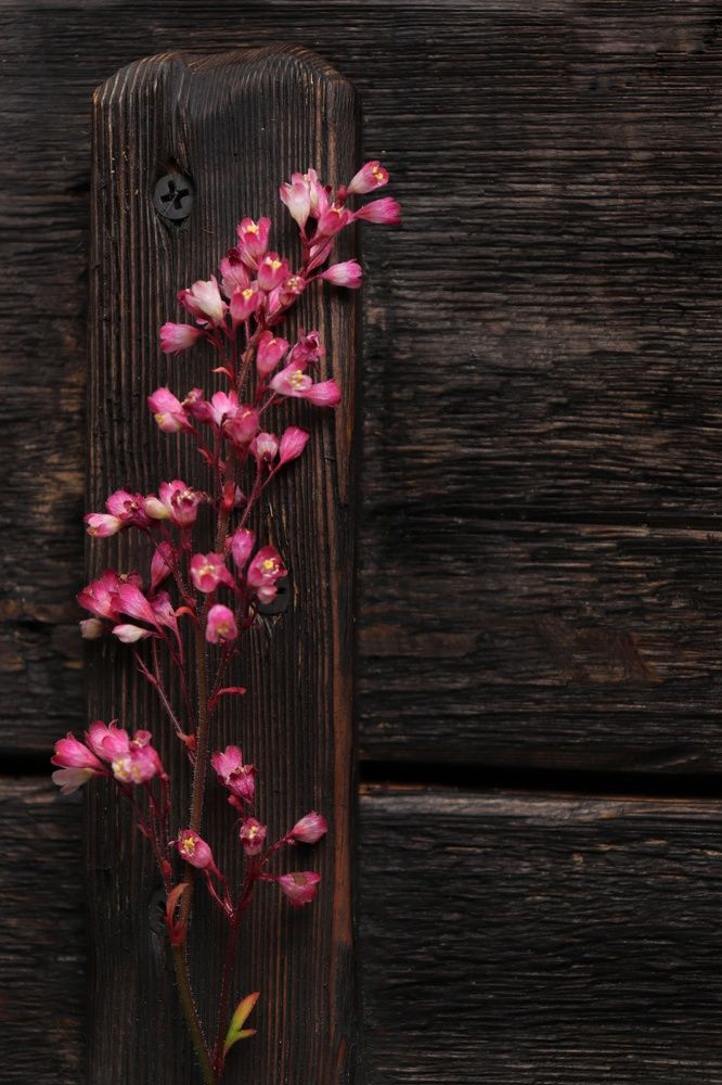 Photograph by Светлана Губич