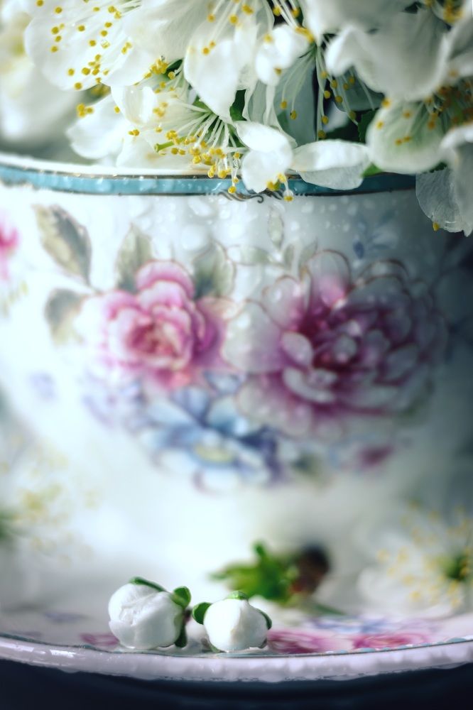 Photograph by Максим Митченко