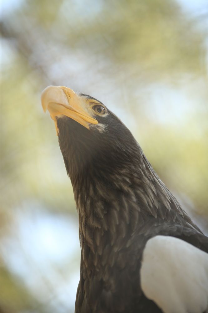 Photograph by Ирина Гавенко