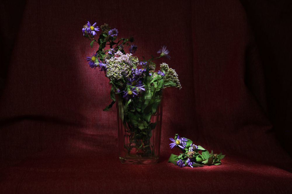 Photograph by Ирина Гавенко