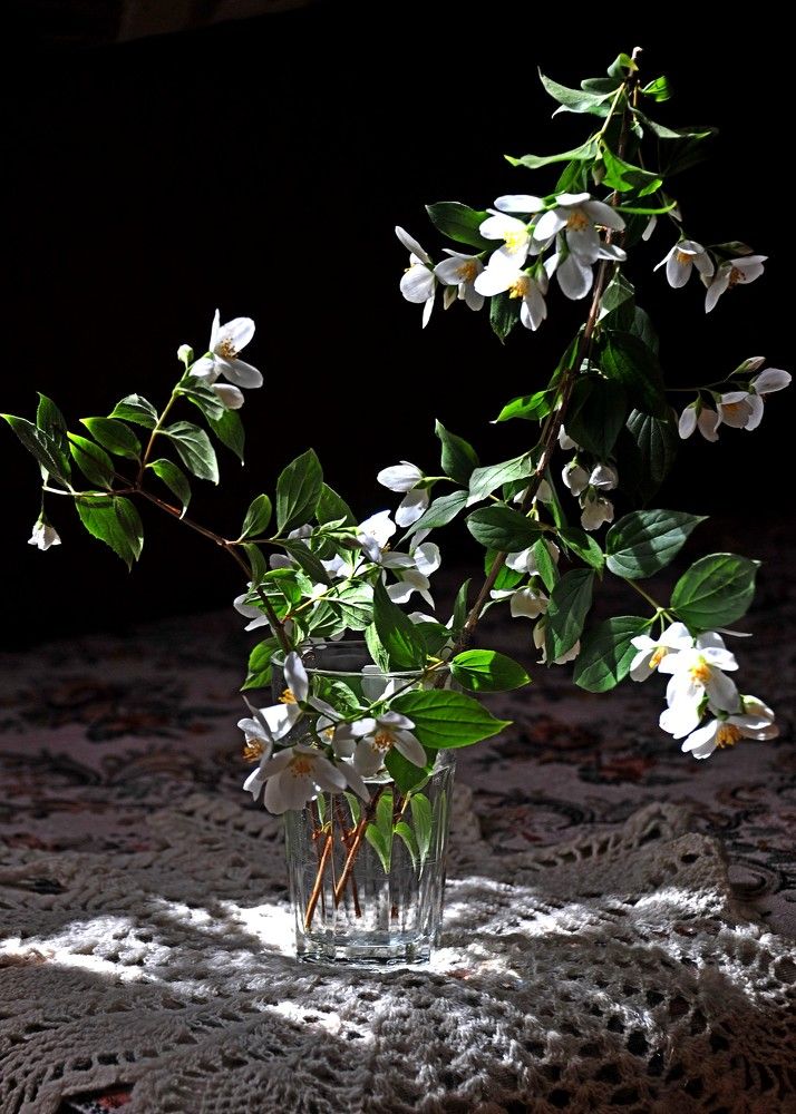 Photograph by Дмитрий Розенбаум