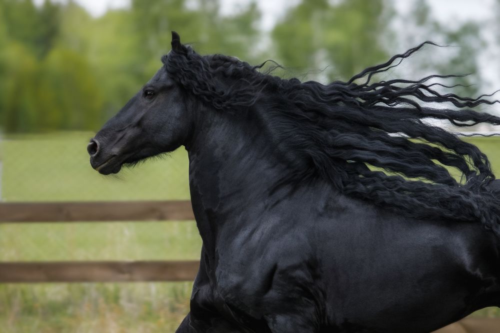 Фотография автора Олеся Евгеньевна