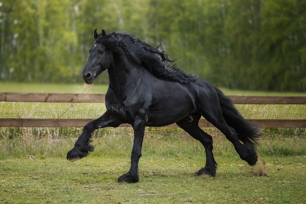 Фотография автора Олеся Евгеньевна