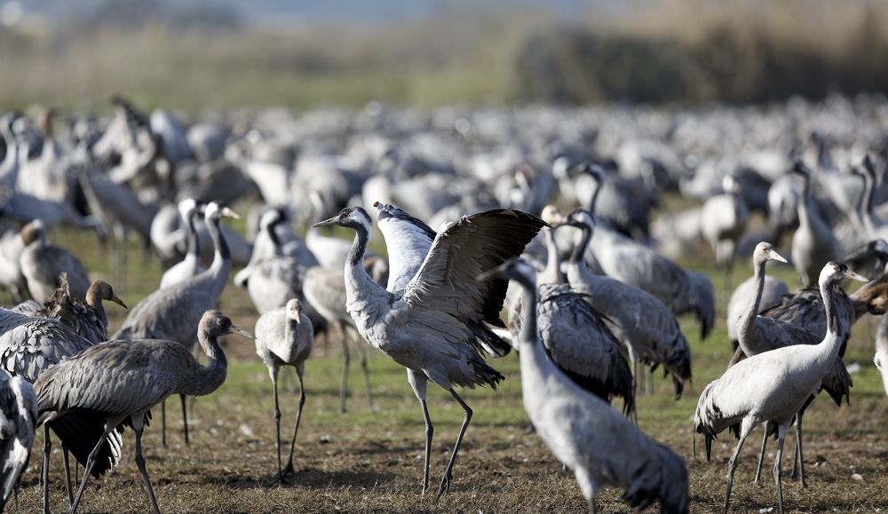 Photograph by Yuri Boichenko