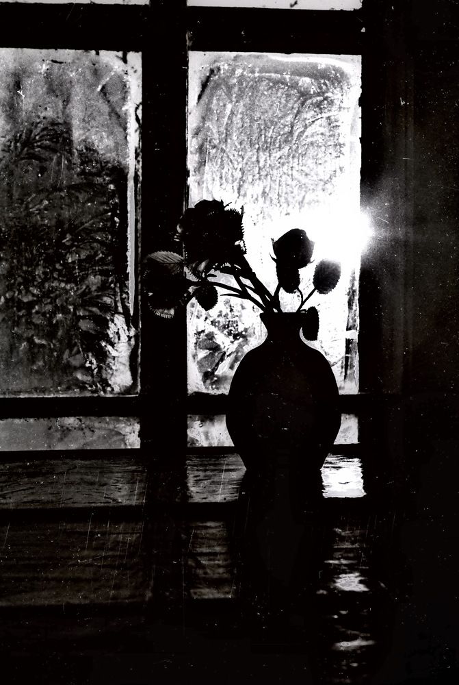 Северный натюрморт...!