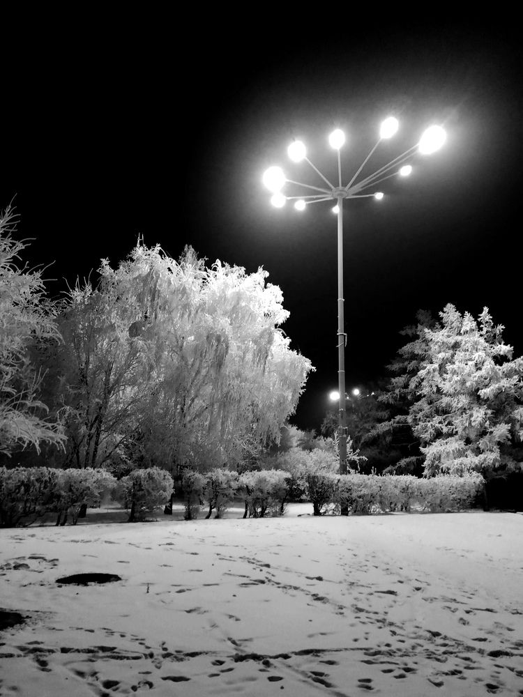 Photograph by Варвара Арефьева