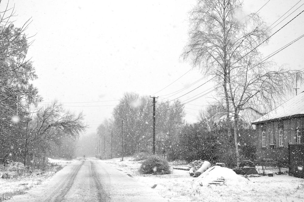 Photograph by Лысых Галина