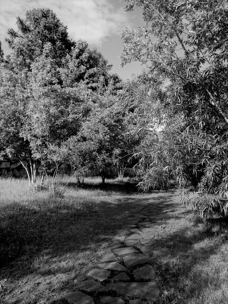 Photograph by Варвара Арефьева
