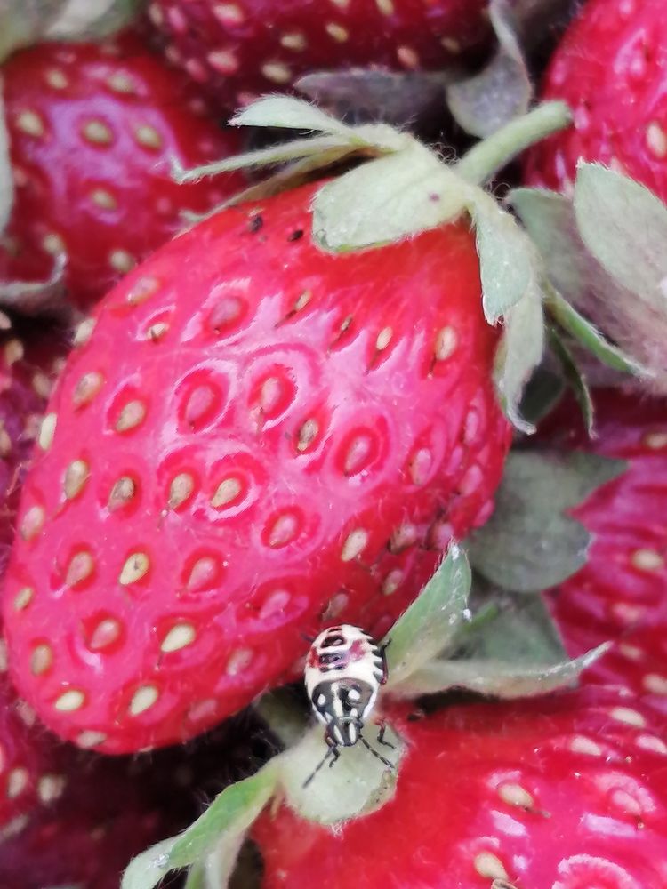 Photograph by Tany Pol