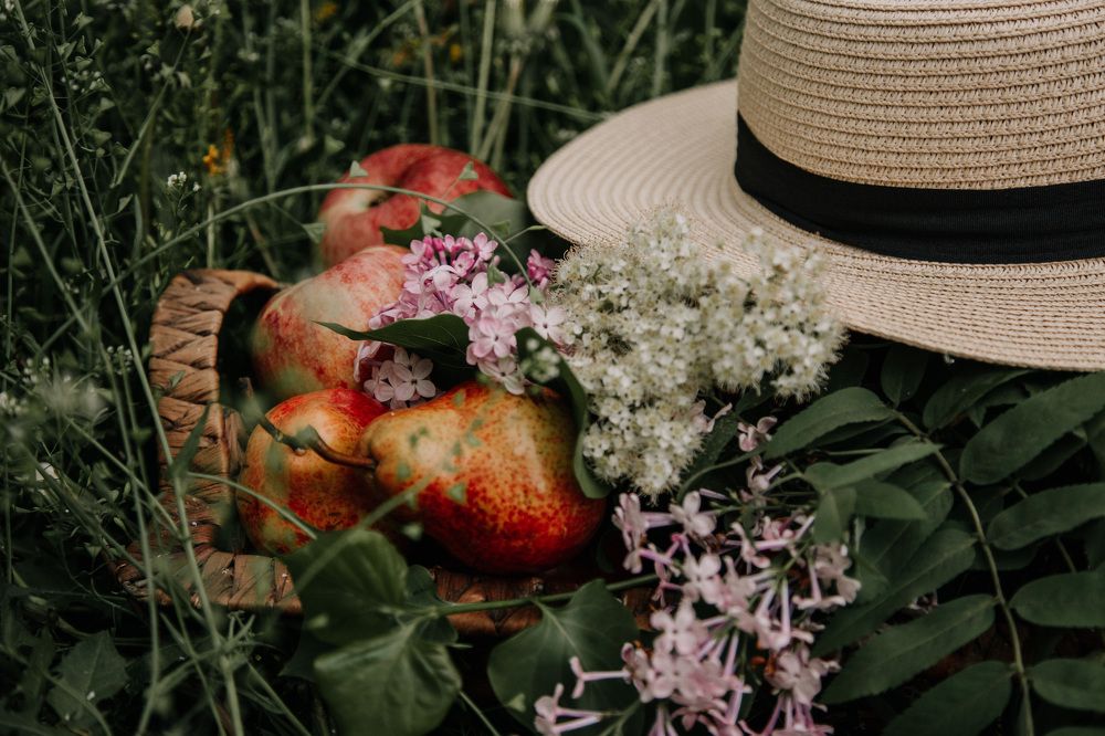 Photograph by Астафьева Ирина