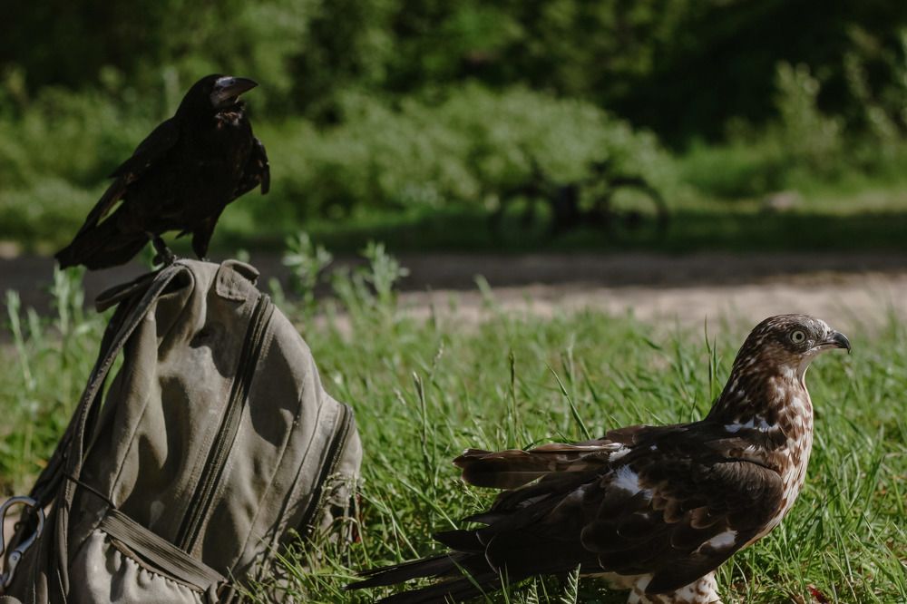 Фотография автора Ольга