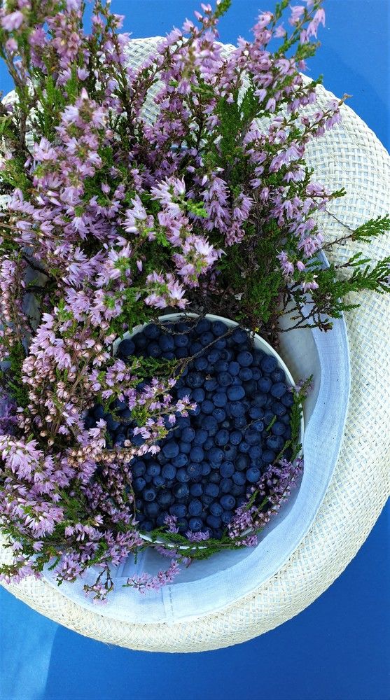 Photograph by Алёна Губинская