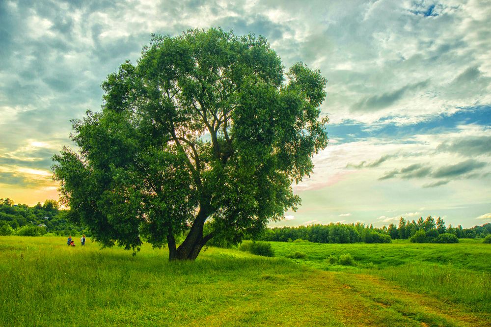 Photograph by Татьяна Семенова