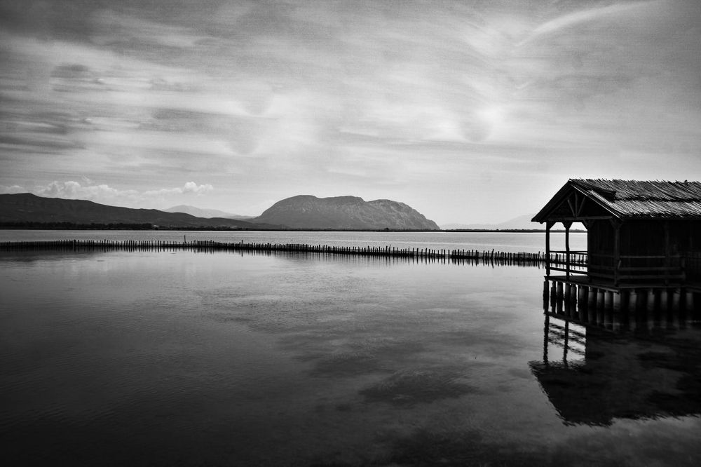 Photograph by Nick Mantelos