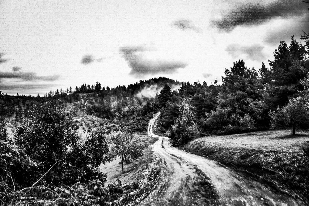 Photograph by Nick Mantelos