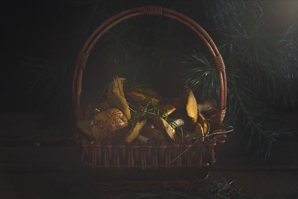 Photograph by Иван Донченко