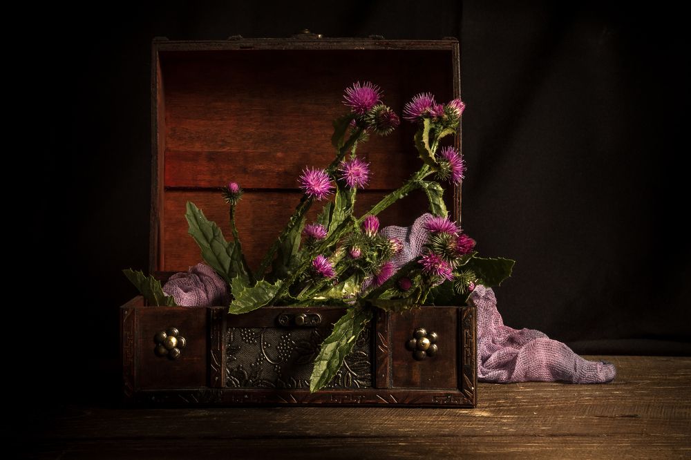 Photograph by Наталья Соболь