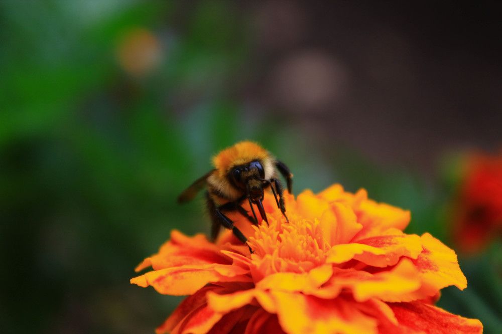 Photograph by Алина Едрянкина