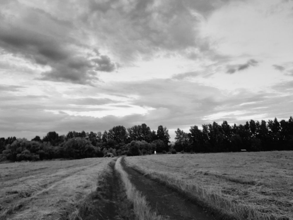 Photograph by Елизавета Карюченко