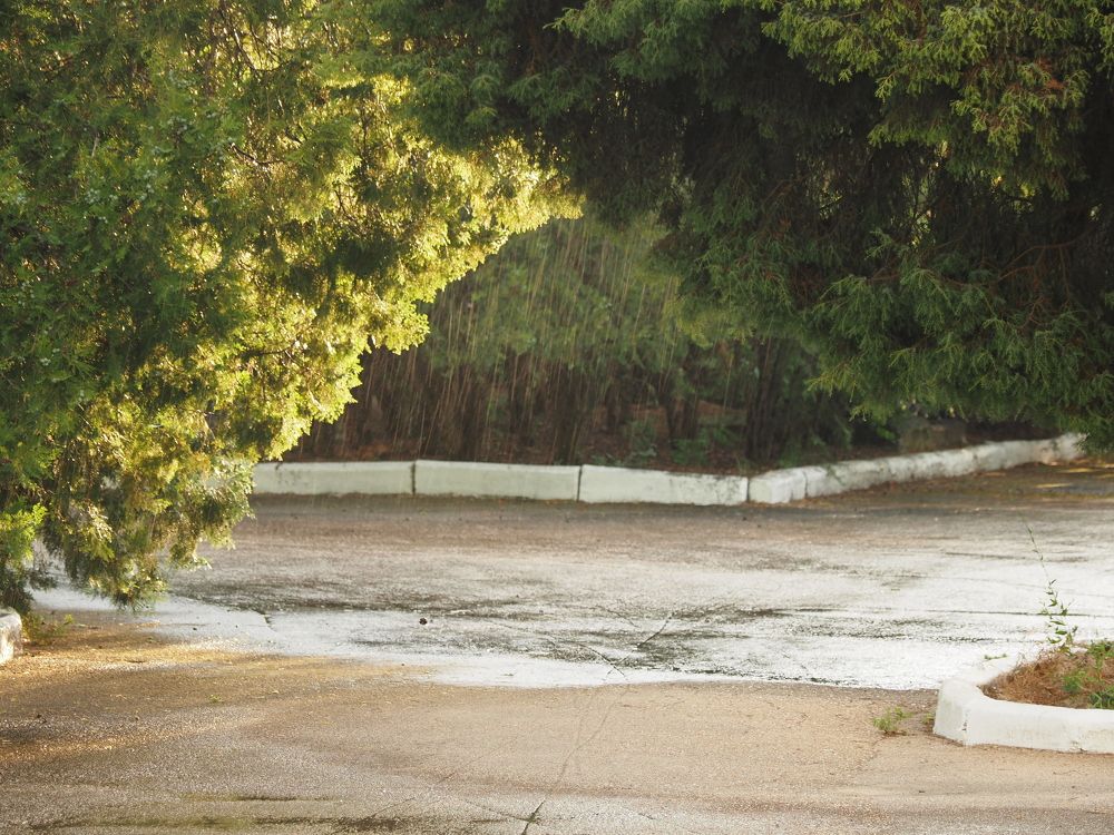 Photograph by Сергей Борисов