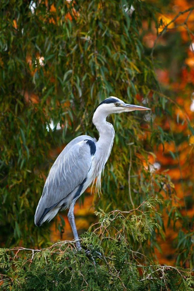 Photograph by Шмидт Юрген