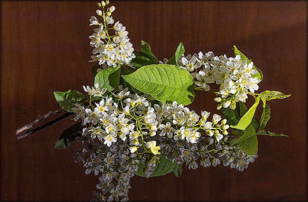 Photograph by Алексей Афонин