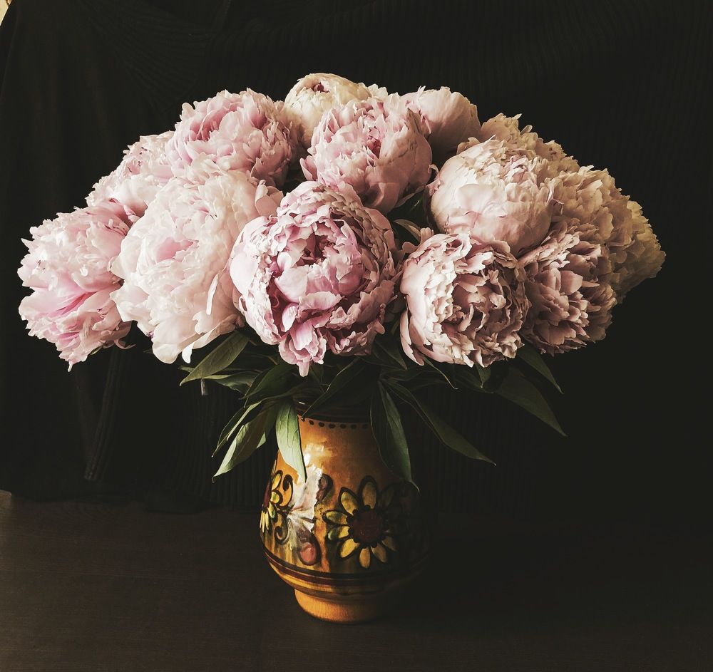 Photograph by Алена Жирова