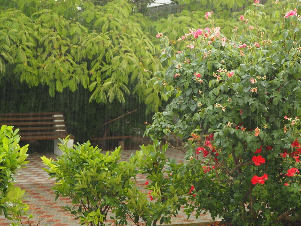 Photograph by Сергей Борисов