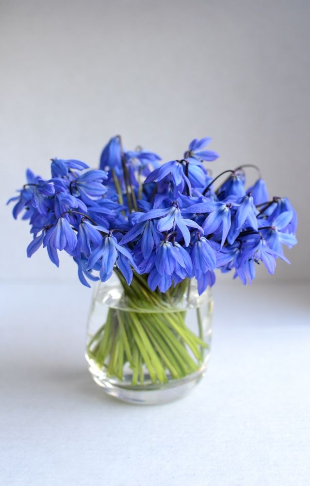 Photograph by Александра