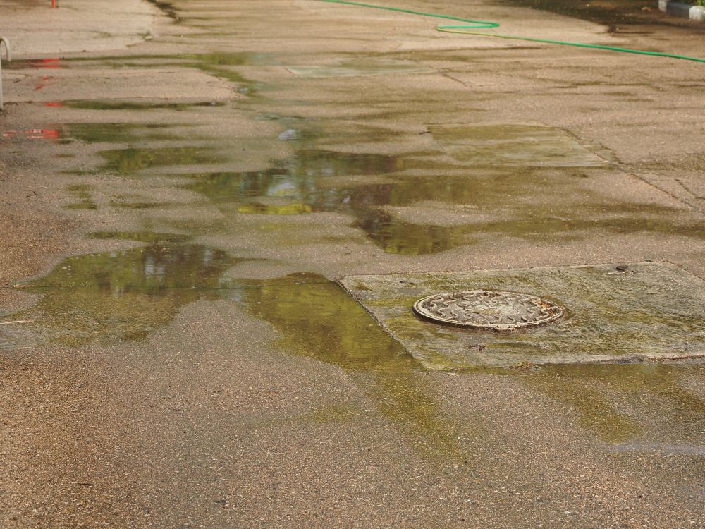 Photograph by Сергей Борисов