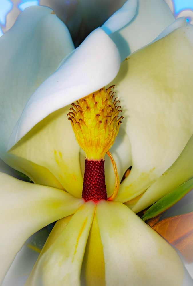 Photograph by Oleg Guchgeldiev