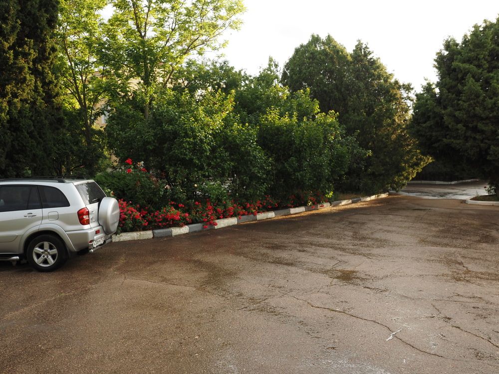 Photograph by Сергей Борисов