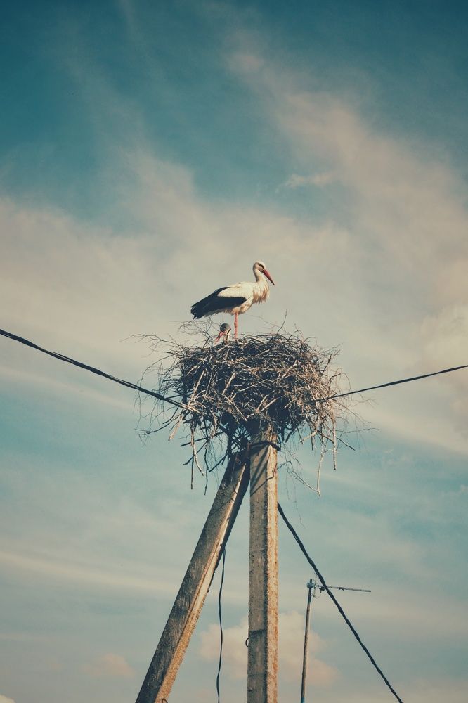 Photograph by Виктория Старовойтова