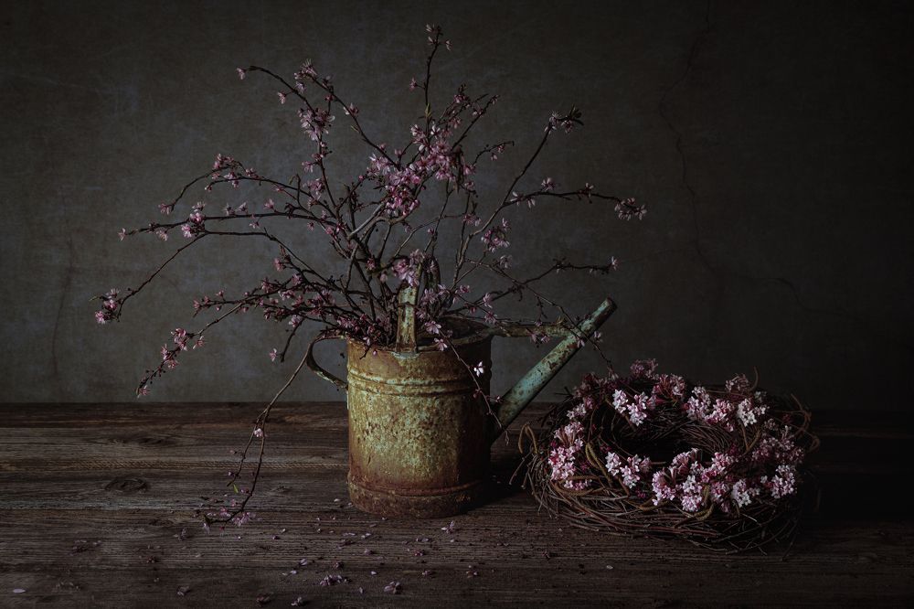 Photograph by Peter Markus