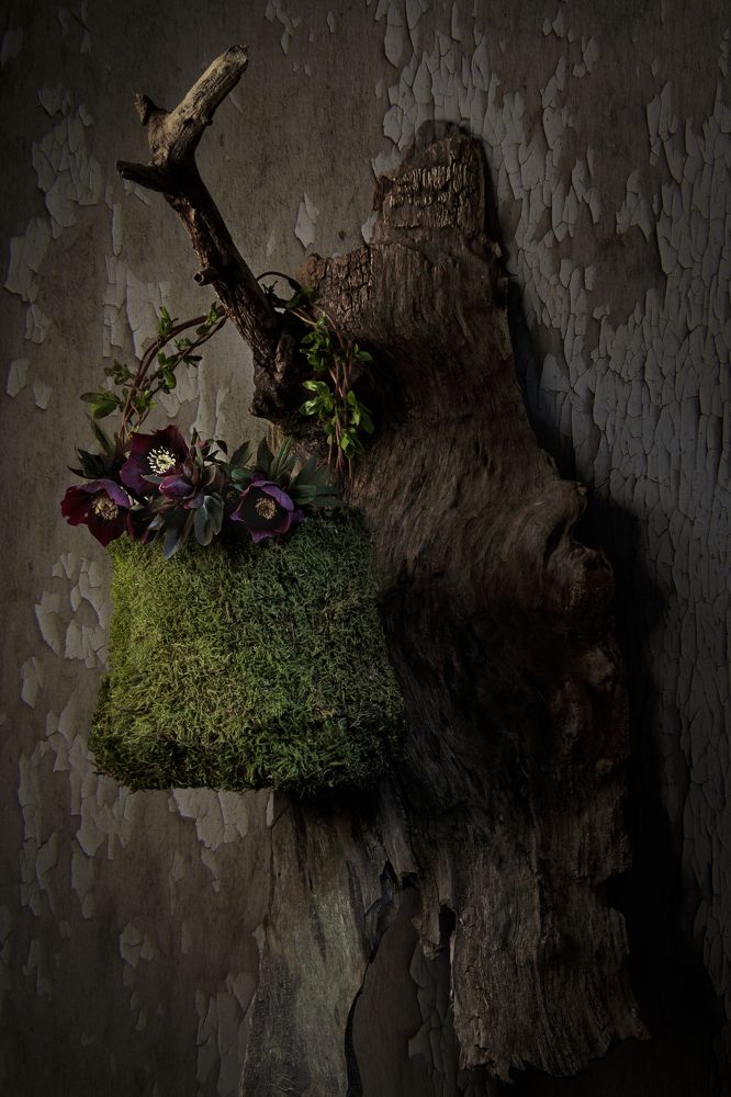 Photograph by Peter Markus