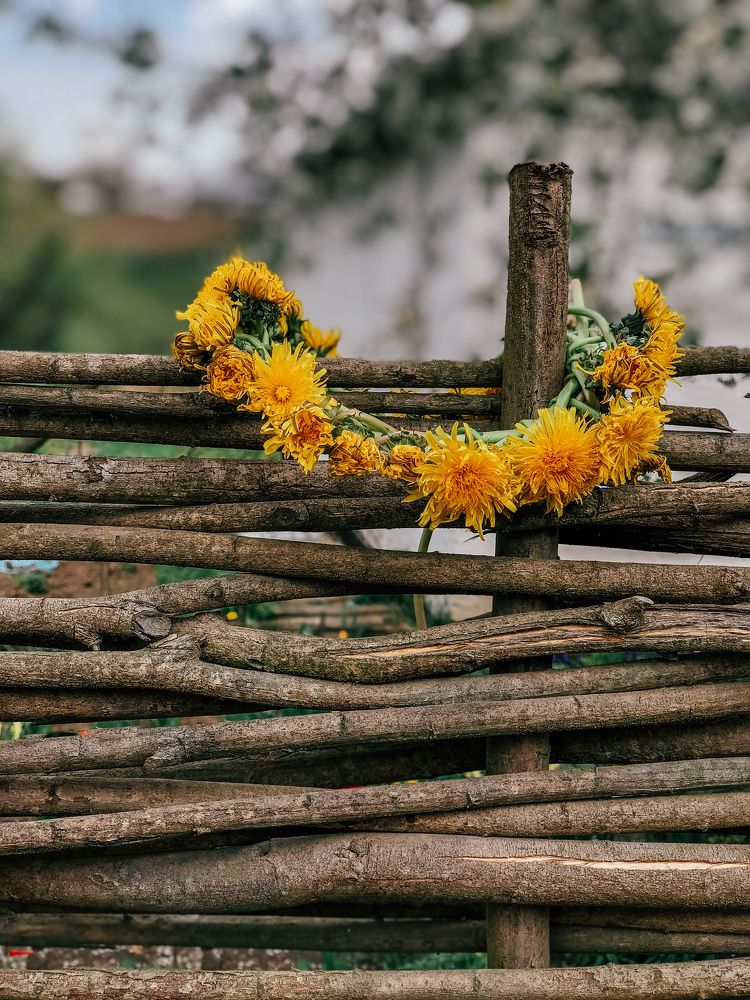 Photograph by Елена Твардовськая
