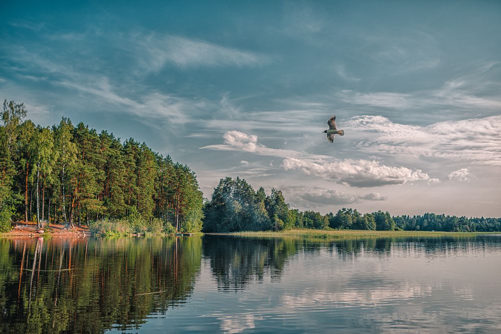 Жарким июльским  днем...