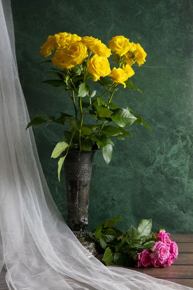 Photograph by Иван Соловьёв