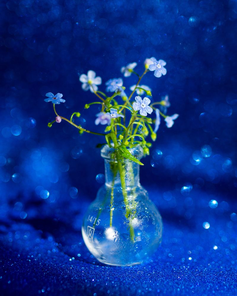 Photograph by Ольга Епихина