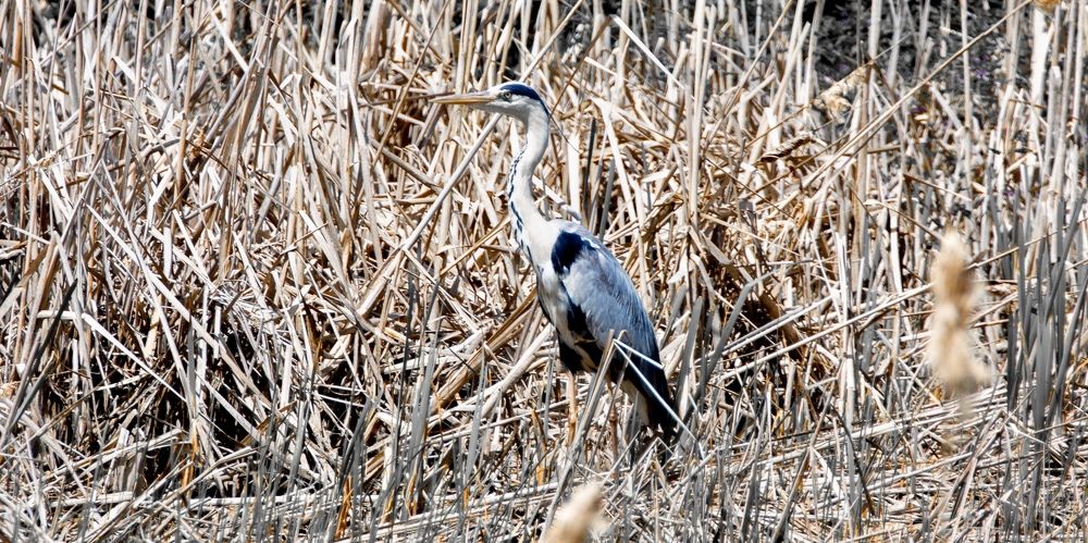 Photograph by Наталья Лапцевич