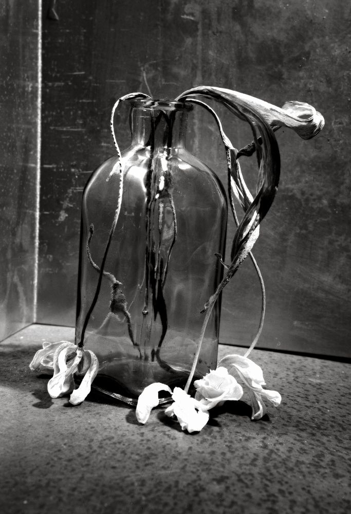 Photograph by Christos Manousakis