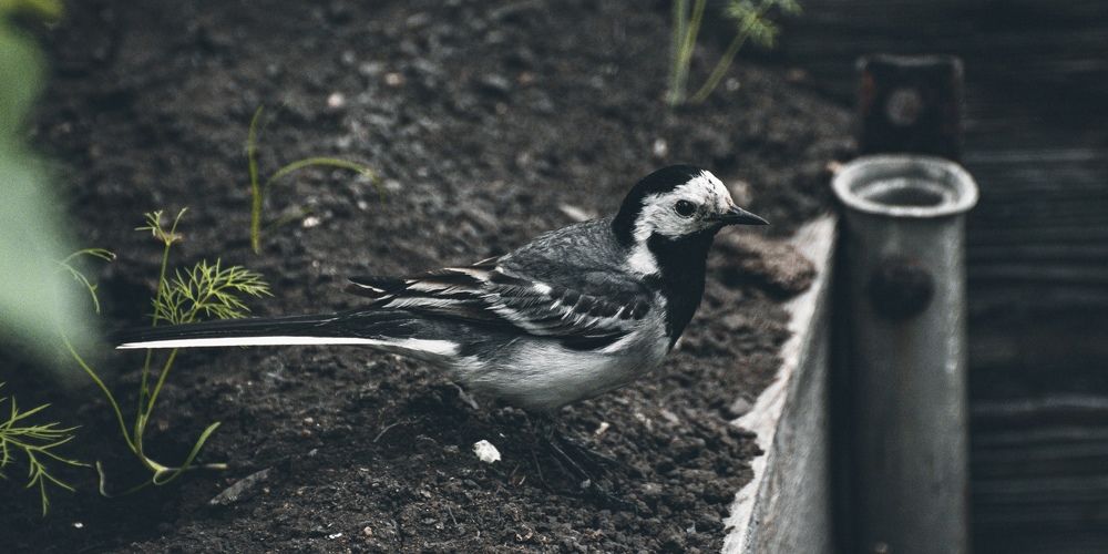 Photograph by Наталья Лапцевич