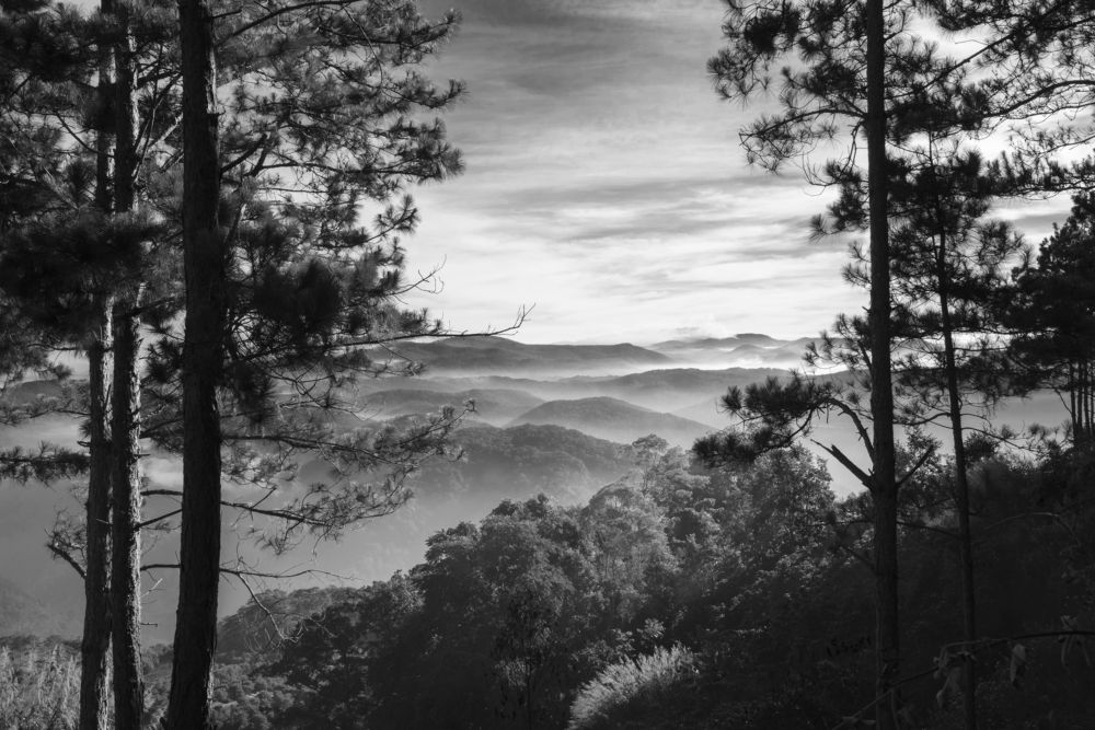 Фотография автора Thien Thanh