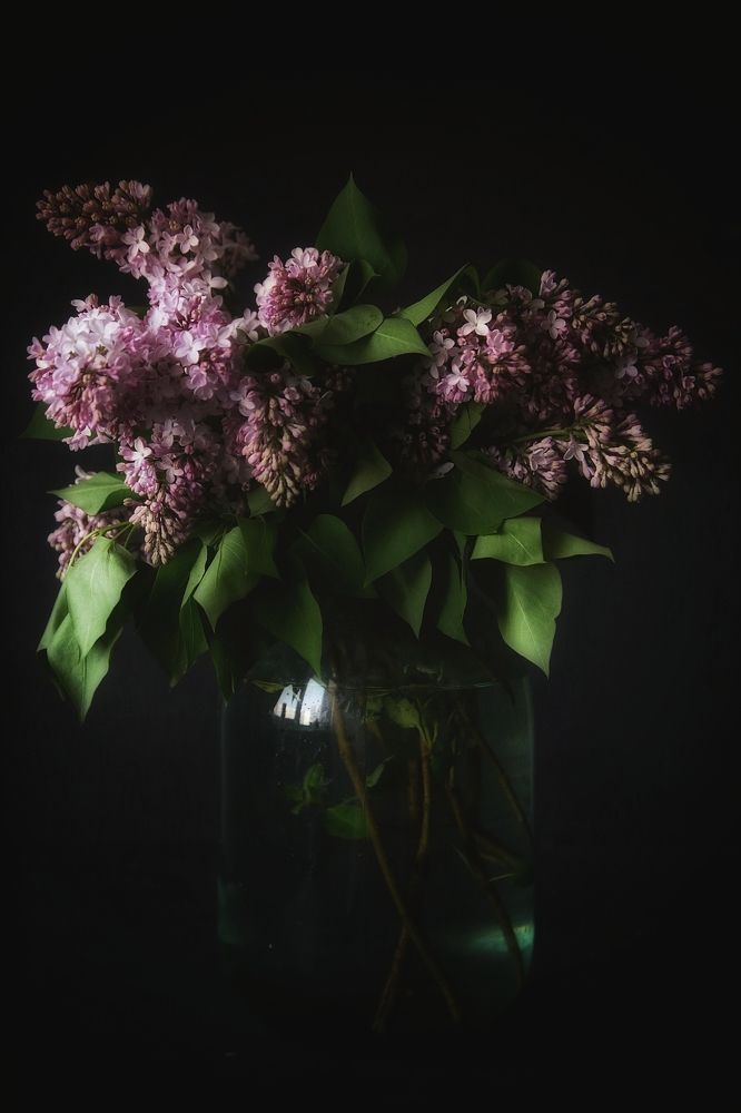 Photograph by Анжелика Сидорова