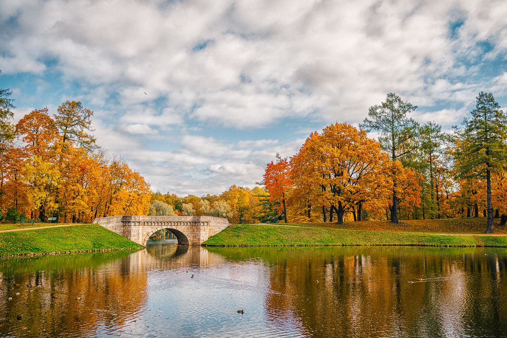 Гладь осеннего пруда...
