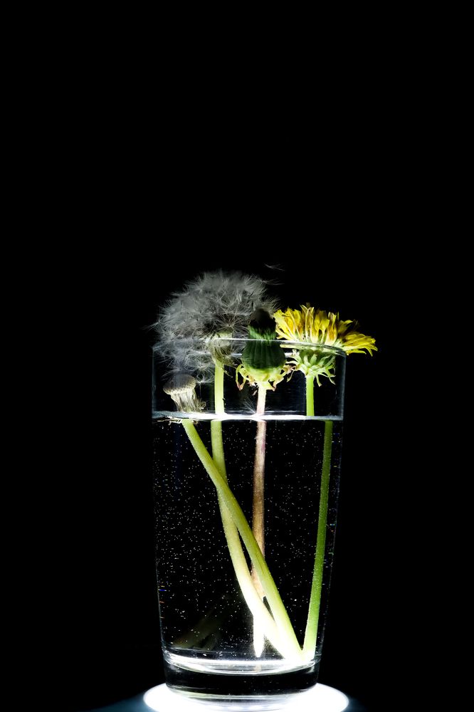 Photograph by Инна Смолякова