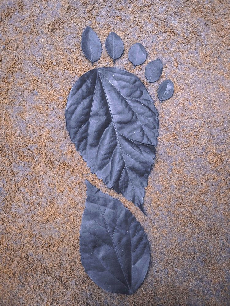 Photograph by Sahan nandika