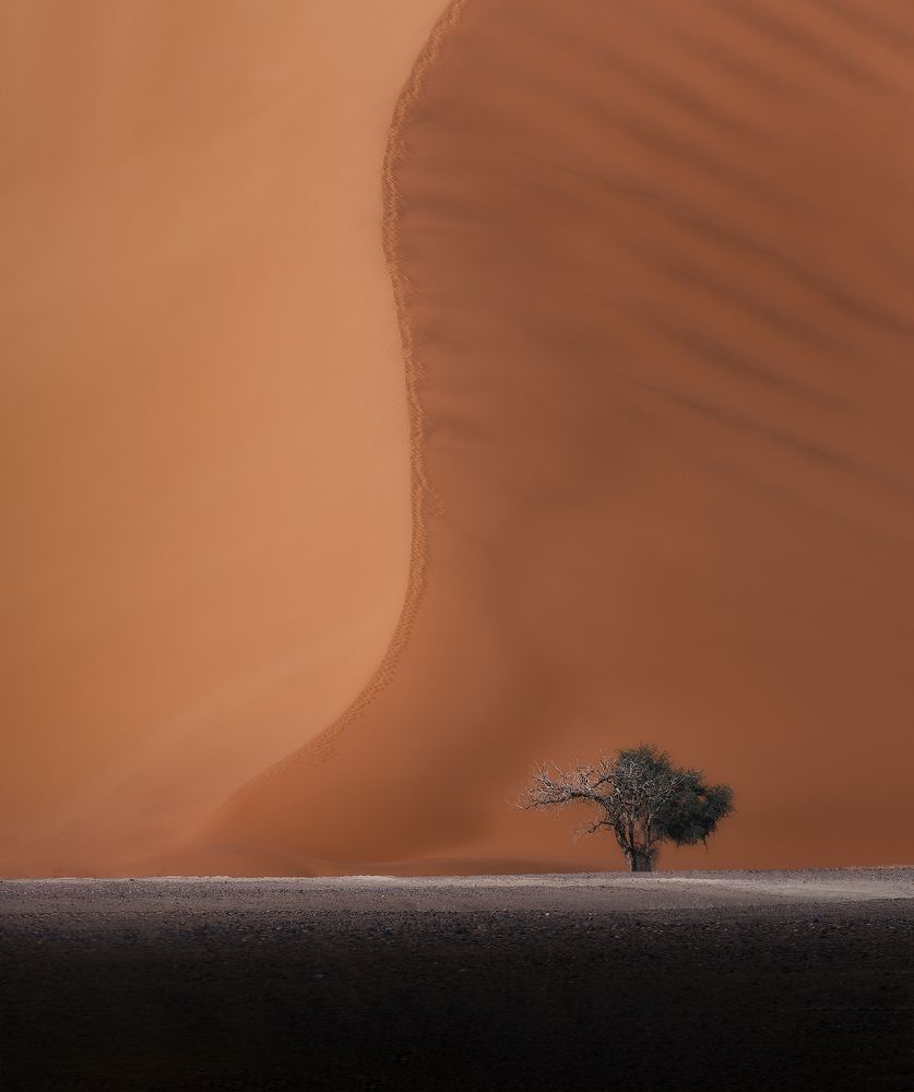 Photograph by XIAOLIANG JI