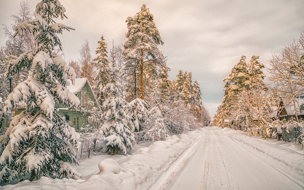 Зима ликующая....